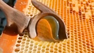 Mesmerizing.