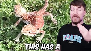 Rarest Things On Earth