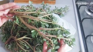 ПОРТУЛАК вкуснее чем мясо! Пальчики оближешь! Соседи из Турции научили меня так
