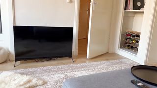 Sweetest kitty loves to talk to his human