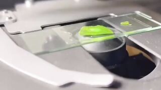 Real-time oxygen production of a leaf.