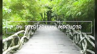 FFPM 576