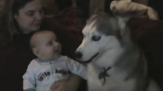 Dog makes baby laugh