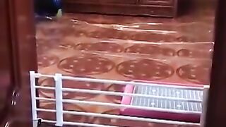 Funny Cats