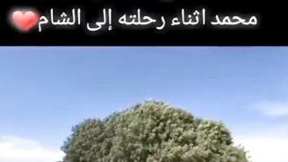 صلوا على النبي