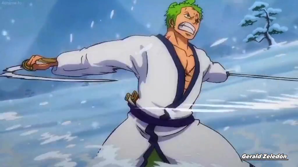 Zoro VS Killer by Drakezin