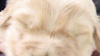 So cute!