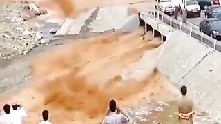 Nature deadliest caught in camera ????