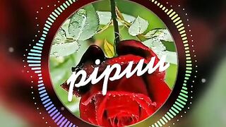 Polca paraguaia ritmo #Cultura  #Diferente #Paraguaio