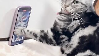 Selfies of the face taken solely with a phone