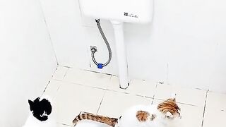 Teamwork