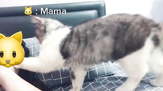 Call Mama to Get Up Early