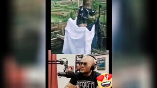 Funny videos