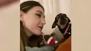 Jealous Dogs ????????????