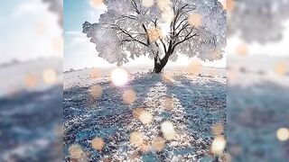 Beautiful view of nature 02