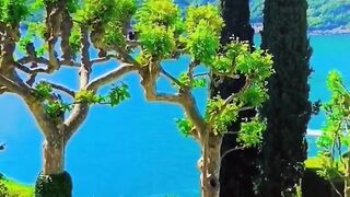 Beautiful view of the Nature's