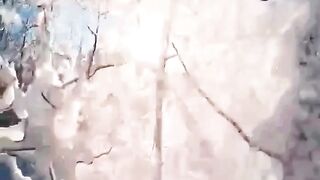 Beautiful view of nature
