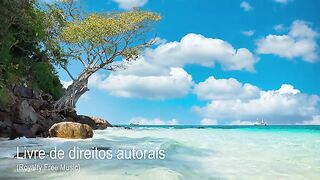 ✅Música grátis para ouvir