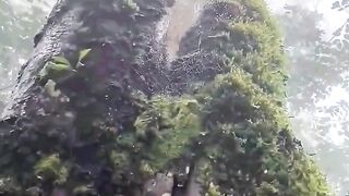 Beautiful view of the Nature's