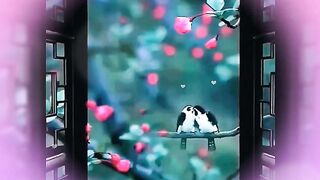 Beautiful view of nature love