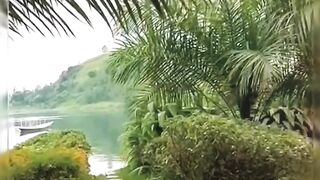 Beautiful view of nature
