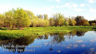 ✅Música instrumental para relaxar, estudar e trabalhar(Instrumental music to relax study and work)