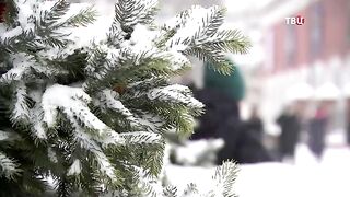 Специальный репортаж. События-2022
