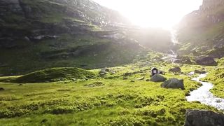 10 Animales SALVAJES que NO Conoces.