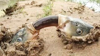 Если бы Это не Сняли на Камеру, Никто бы не Поверил