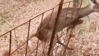 That’s just natural selection at this point.