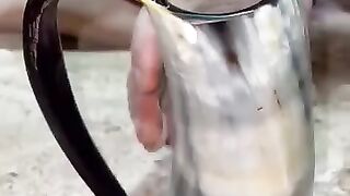 Turning horn into a mug