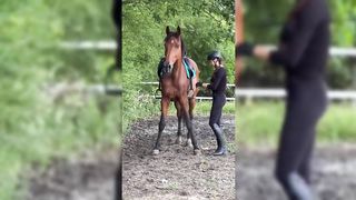 The Cutest HORSES Equestrian TikTok Compilation #164