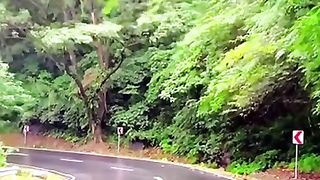 The Beauty of Nature ????