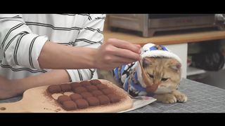 Condensed Milk Chocolate Truffles Easy Recipe [2 Ingredients]