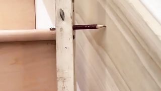 Everything for the home
