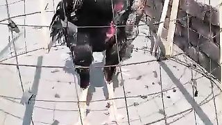 Get me out from here
