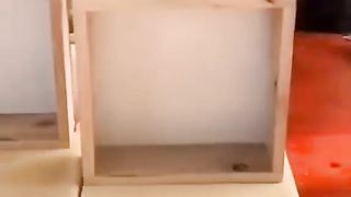 Everything for the home