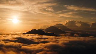 Video nature in indonesia