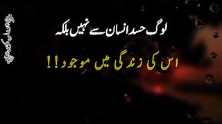 Hsaasad insan se nahi