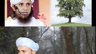 Sahabi ko darakht lagane se mana kardiya ⁉️