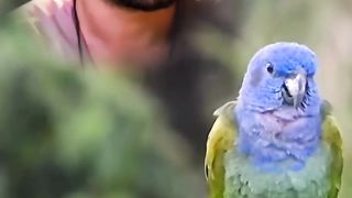My music video is Facebook page
