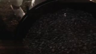 بورسلي