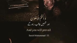 QURAN VERSES