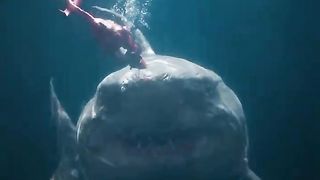 Megalodon  animals