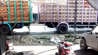 hanya hiburan
