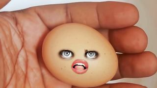 Funny egg video