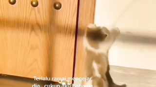 tinggalkan aku sendiri