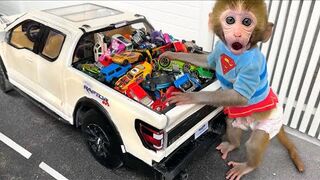 Monkey Baby Bon Bon drives a car and plays with puppy and duckling by the track