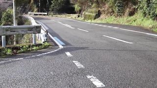 んん！？丸々太ったアナグマ！！！