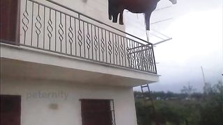 juan..